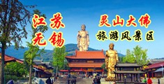 日小逼逼视频江苏无锡灵山大佛旅游风景区